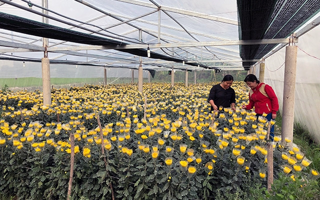 Những tín hiệu tích cực